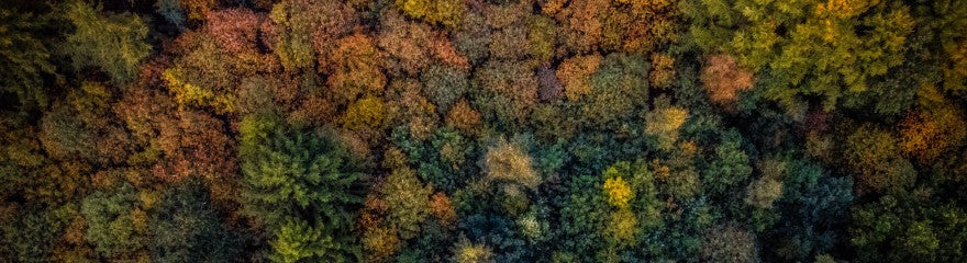 10 tips for autumn photography