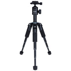 Rollei Compact Traveller Mini M1