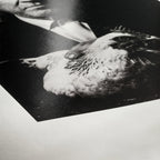 Hahnemühle Photo Rag Baryta A3 25 Blatt