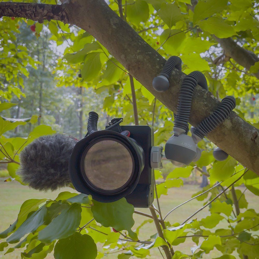 Joby PodZilla Flexibles Stativ, großes Kit