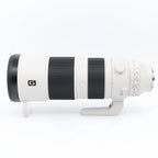 Sony FE 200-600mm F/5.6-6.3 G OSS gebraucht